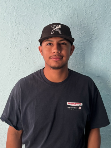Mike (service manager)